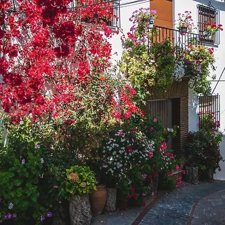 Holiday home Casa Almenta - Tu Hogar Desconectar En El Pueblo Mas Bonito De Malaga Benalauria